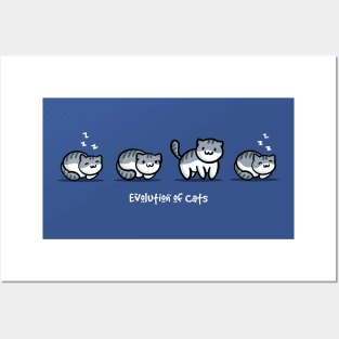 Evolution of Cats Posters and Art